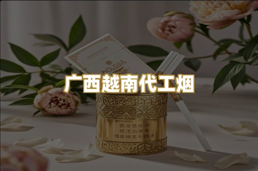 广西越南代工烟